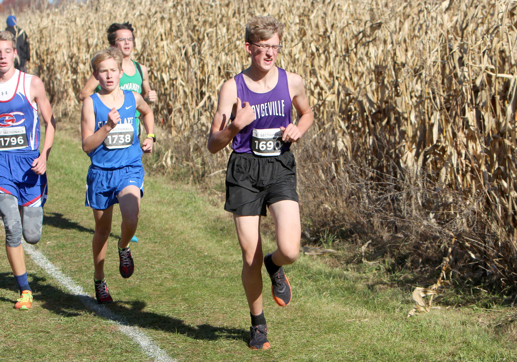 Division 3 Cross Country Sectionals in Boyceville 10-26-19